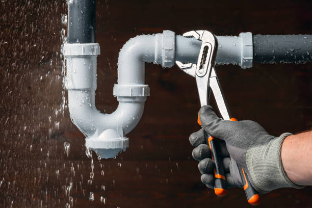 Professional Plumbing technician working in Wittman, MD